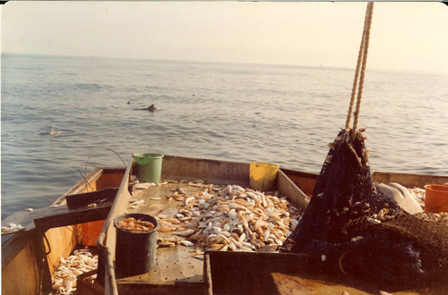 Photo of the stern of a Fishing Trawler